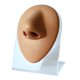 thumbnail image 4 of Modelo de nariz de silicona reutilizable, modelo humano de simulación para herramienta de enseñanza y práctica Marrón, 4 of 9