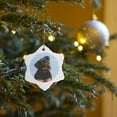 thumbnail image 7 of 3drose, Rottweiler, 3 inch Snowflake Porcelain Ornament, 7 of 7