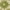 Green, variant on Nourison Aloha Indoor/Outdoor Navy 2'8" x 4' Area Rug, (3x4)