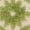 Green, variant on Nourison Aloha Indoor/Outdoor Aqua 3'6" x 5'6" Area Rug, (4x6)