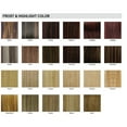 thumbnail image 4 of Eve Hair Luv 100% Pure Remy Straight Clip Ins 18 in. - Color 27, 4 of 19