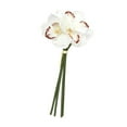 thumbnail image 4 of Orquídea Artificial hidratante, centro de mesa de orquídea realista, decoración para el Día de Acción de Gracias y San Valentín, 4 of 8