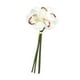 thumbnail image 4 of Cymbidium artificial hidratante, decoración realista, arreglo floral, flor falsa Blanco, 4 of 9