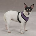 thumbnail image 2 of Casual Canine Mesh Dog Harness, 2 of 3