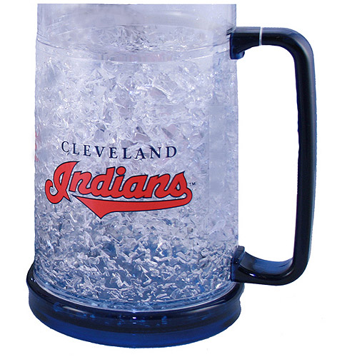 Michigan Wolverines Mug Crystal Freezer Fun Cup 16oz