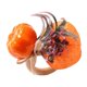 thumbnail image 1 of Anillo de servilleta de calabaza Hebilla de servilleta Manualidades para de mesa de Halloween Mesa de comedor de Navidad de Acción de Gracias Gloria Titular de anillo de servilleta, 1 of 7