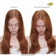 thumbnail image 6 of Dove Volume & Fullness Dry Shampoo to Revive Flat Hair, 7.3 oz, 6 of 14