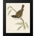 thumbnail image 2 of Wild Apple Portfolio 12x14 Black Modern Framed Museum Art Print Titled - Engraved Birds II, 2 of 5
