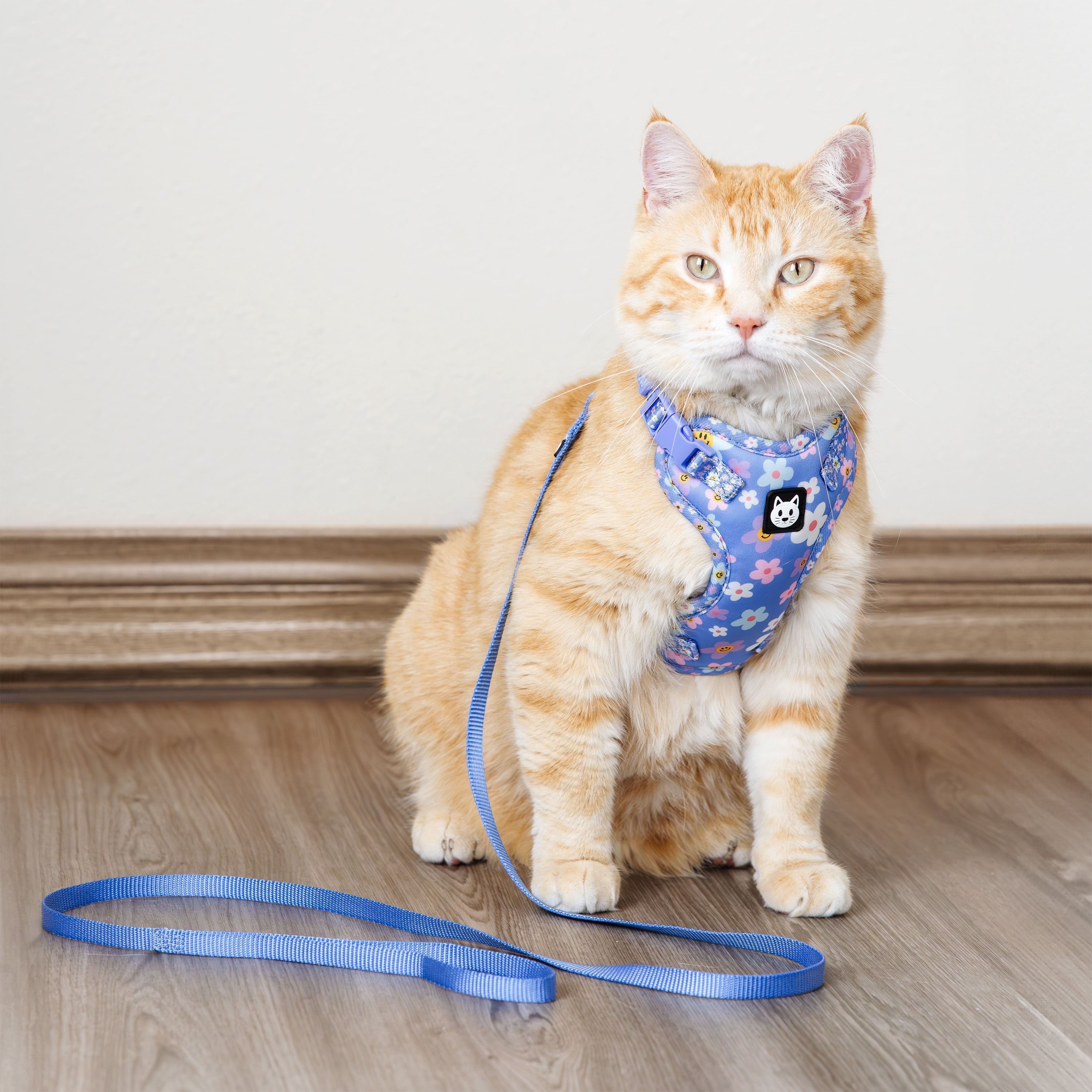 Vibrant Life Polyester Floral Comfort Cat Harness and Leash Set, Blue, One Size