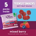 Plum Organics Plum Teensy Fruits Berry 1.75 Oz