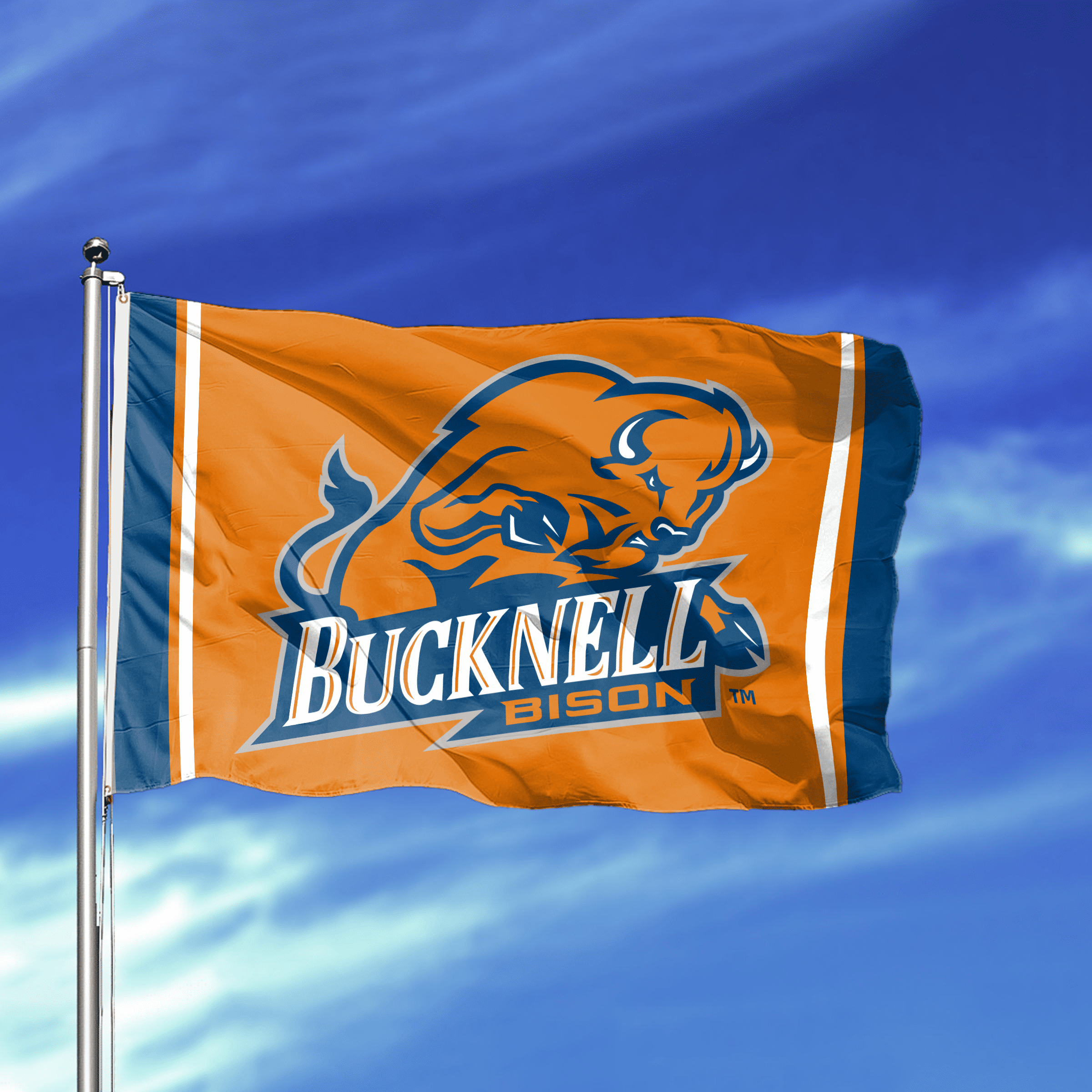 AGAS 3' x 5' Bucknell Bisons Logo Outdoor Flag, Single-Reverse Print with Brass Grommets