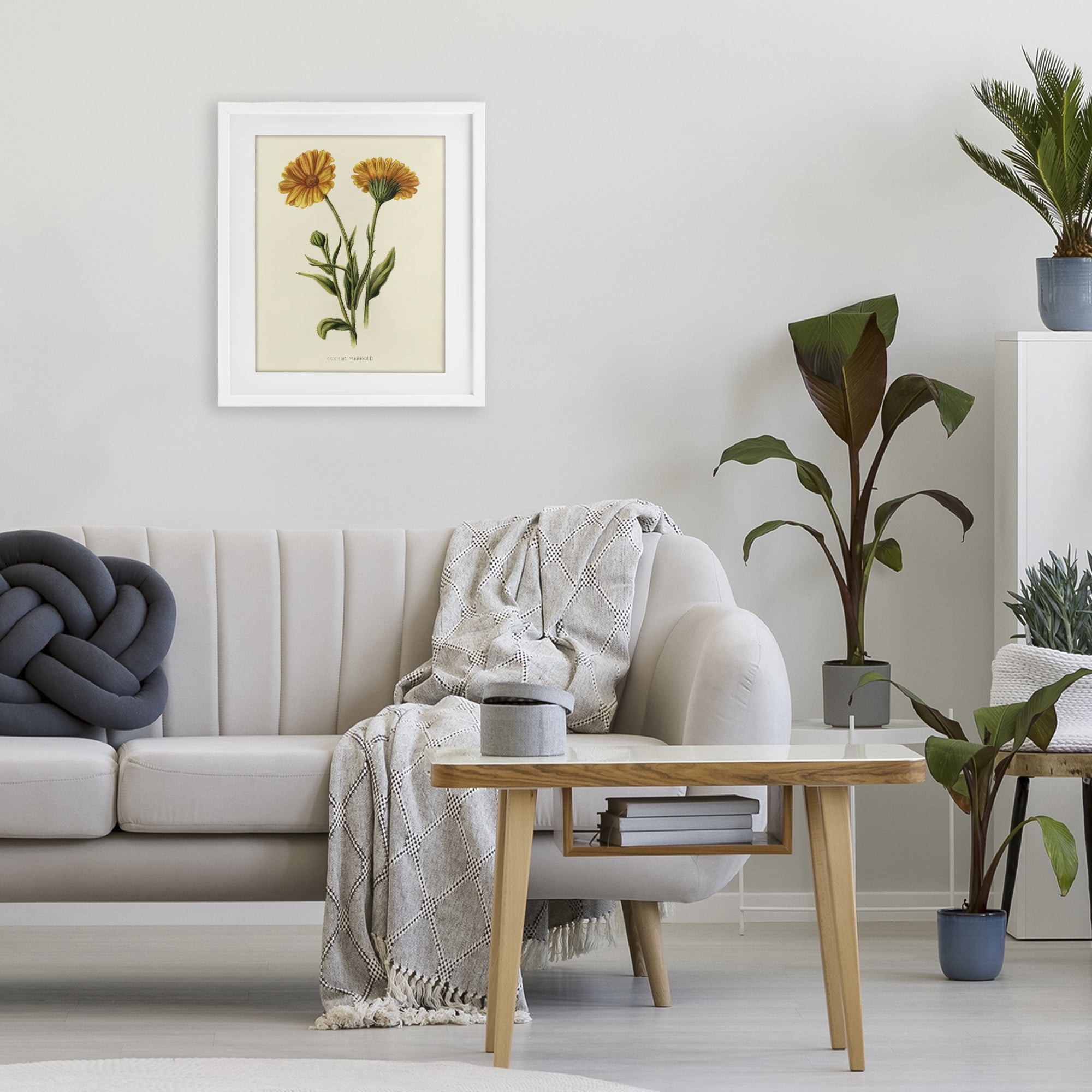 Stupell Industries Twin Marigold Blooms White Framed Print Under Glass, design by Connie Resch