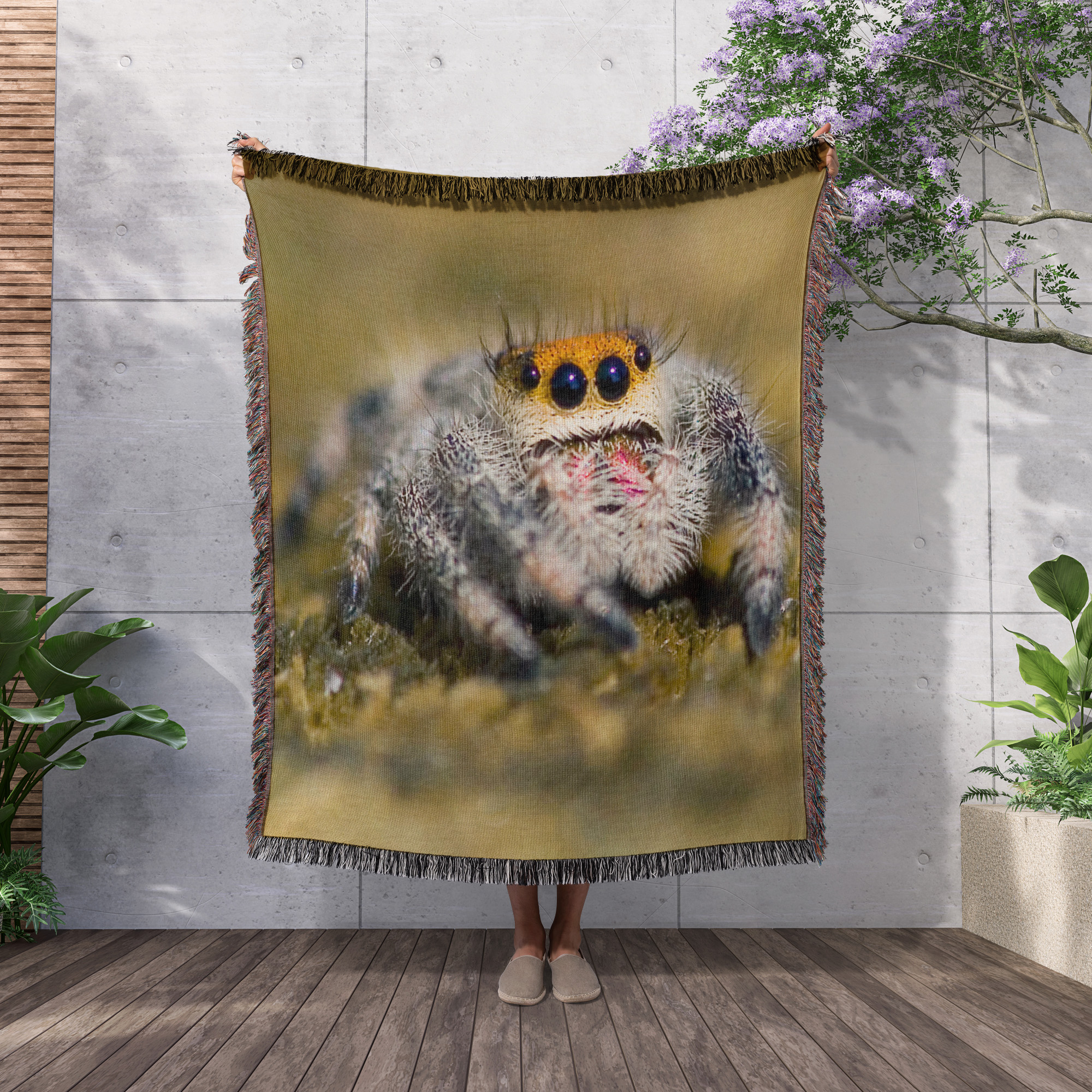 Florida. Close-Up Of Jumping Spider - Us10 Bja0223 - Jaynes Gallery, Woven Blanket