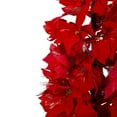thumbnail image 3 of Northlight Pre-Lit Fiber Optic Color Changing Poinsettia Artificial Christmas Tree - 4' - Red - Multi Lights, 3 of 4