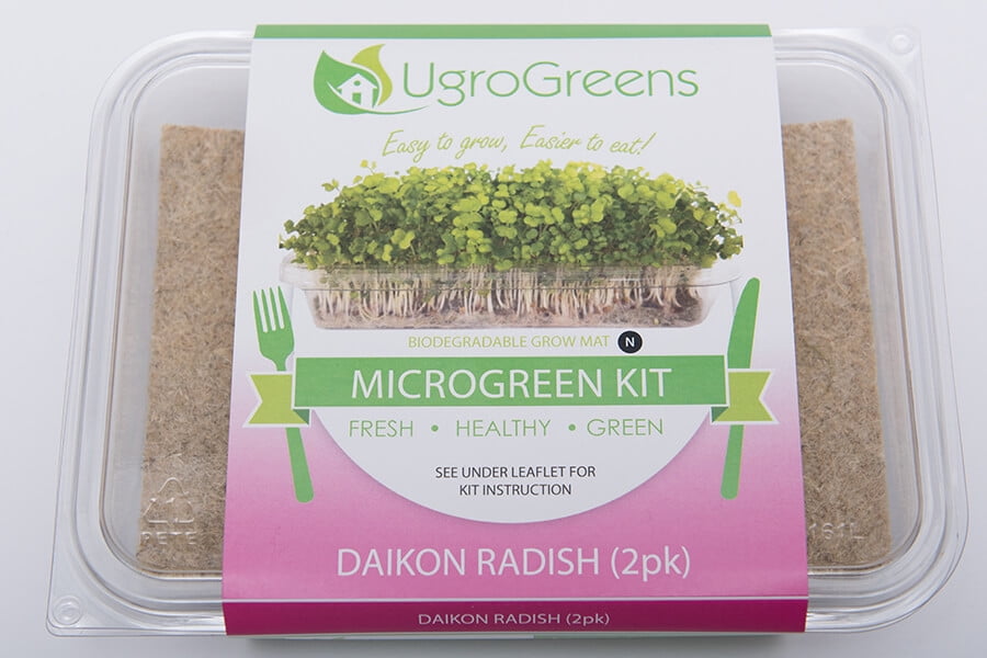 Radish Daikon Microgreen Grow Kit Walmart Canada