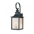 thumbnail image 1 of Savoy House Monte Grande Wall Mount Lantern in Slate, 1 of 1