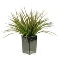 thumbnail image 2 of D&W Silks Brown/Green Grass in Square Black Ceramic Planter, 2 of 2