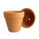 thumbnail image 1 of Maceta de cerámica roja para plantas, maceta carnosa de baja temperatura, maceta de cerámica carnosa redonda absorbente, maceta universal para flores, maceta de cerámica, 1 of 3