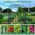 thumbnail image 3 of Lilypelle Large Arch Trellis 87" Black Plastic Metal Arbor, 3 of 14