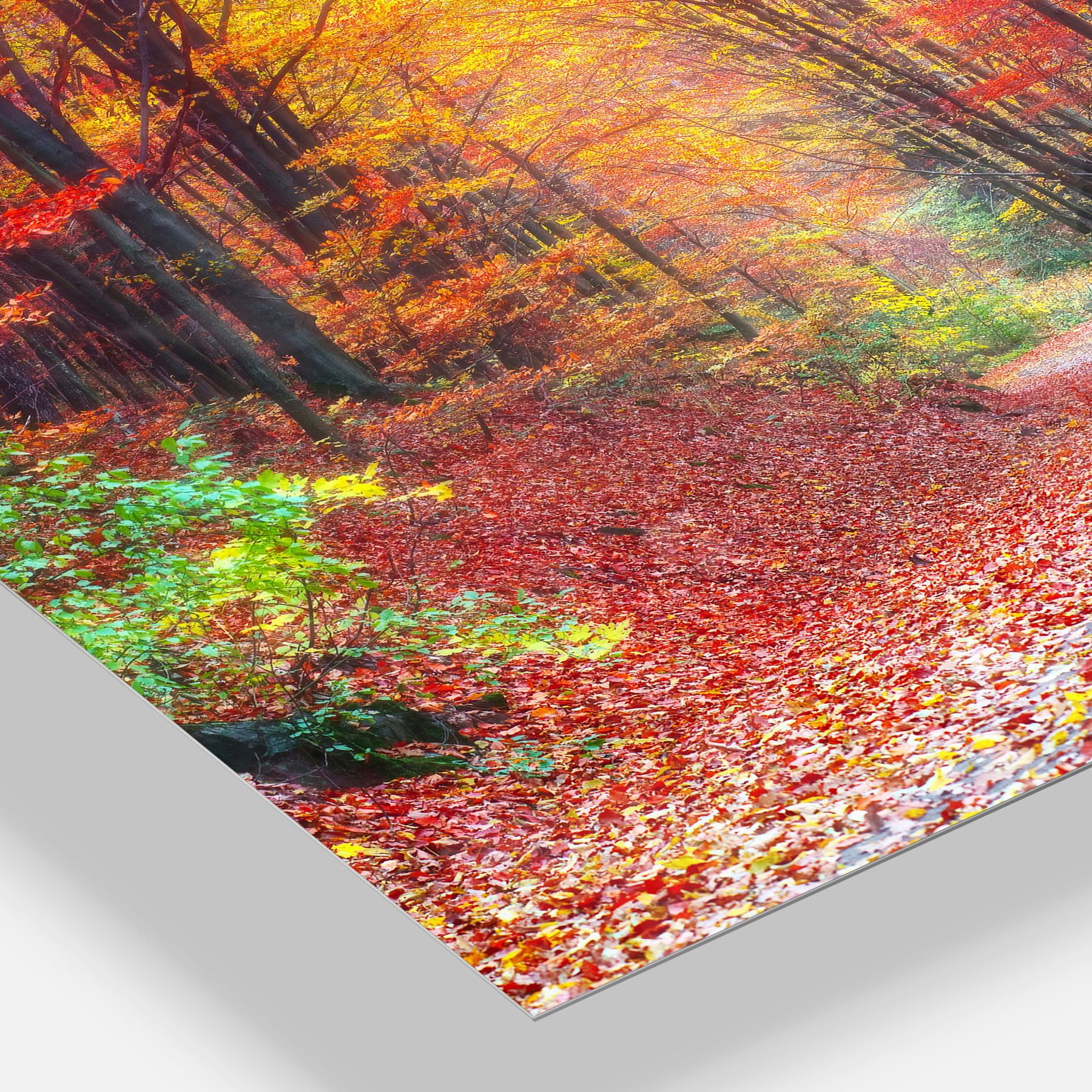 Designart 'Road in Beautiful Autumn Forest ' Multipanel Modern Forest Extra Large Metal Wall Arts