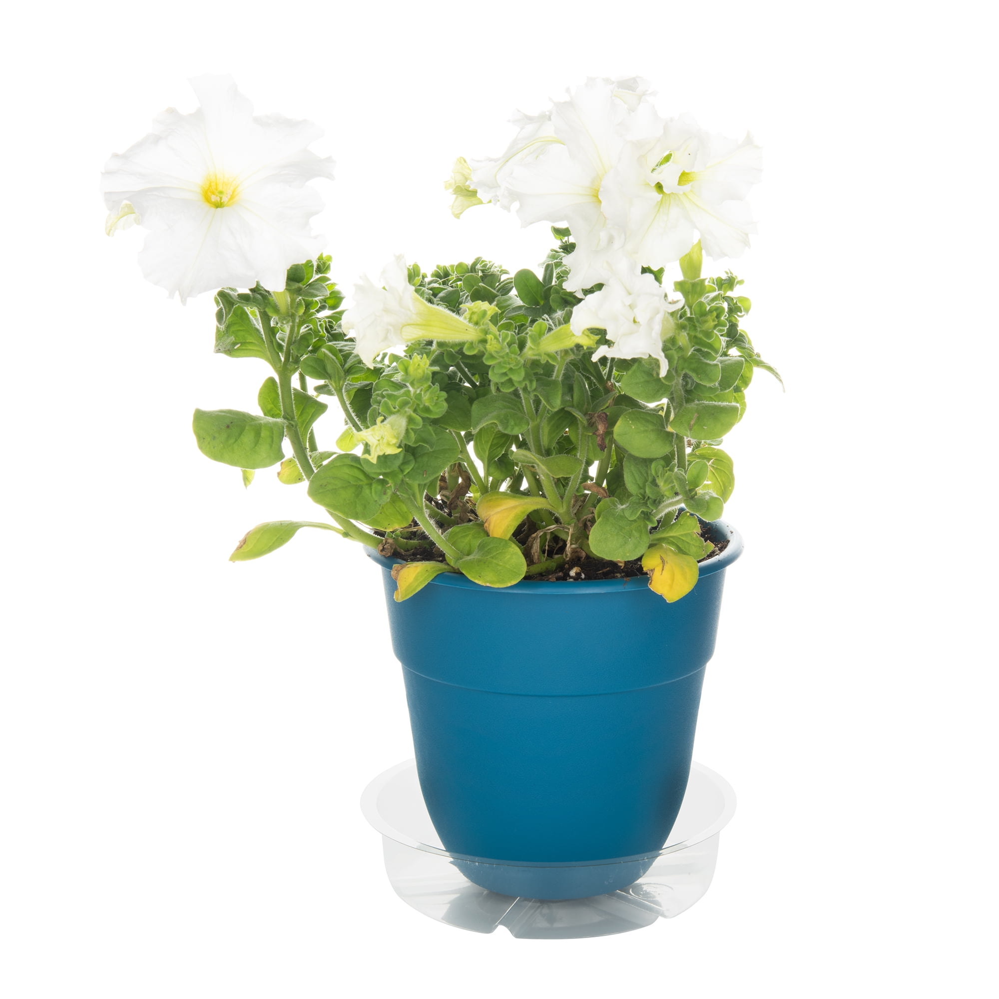 Mainstays 6 in. Heavy Duty Clear Round Vinyl Plant Saucer