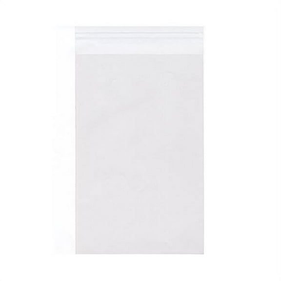 JAM Paper Cello Sleeves Envelopes, 9 1/4" x 12 1/4", Clear, 1000/carton