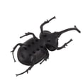 thumbnail image 4 of Modelo De Insecto Escarabajo De Estiércol, Juguete De Insecto Con Energía Solar, Decoración Portátil De Ahorro De Energía Para El Hogar Para Fiestas, 4 of 8