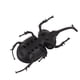 thumbnail image 4 of Juguete de insecto con energía solar modelo de estiércol falso realista ahorro de energía portátil simulado para fiesta para adultos, 4 of 8