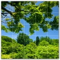 thumbnail image 1 of Picture-Tiles.com: Trees Ceramic Tile Wall Mural WAL501015-55M. 30"W x 30"H using (25) 6" x 6" Ceramic Tiles-Satin Finish, 1 of 3