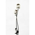 thumbnail image 2 of Gronkjar, Lotte 14x18 White Modern Wood Framed Museum Art Print Titled - Drought, 2 of 4