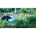 thumbnail image 4 of Black Bear Munchies w added sugar 44lb By Rack Stacker, 4 of 11