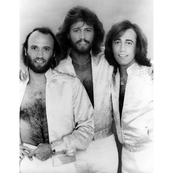 The Bee Gees History (18 x 24)