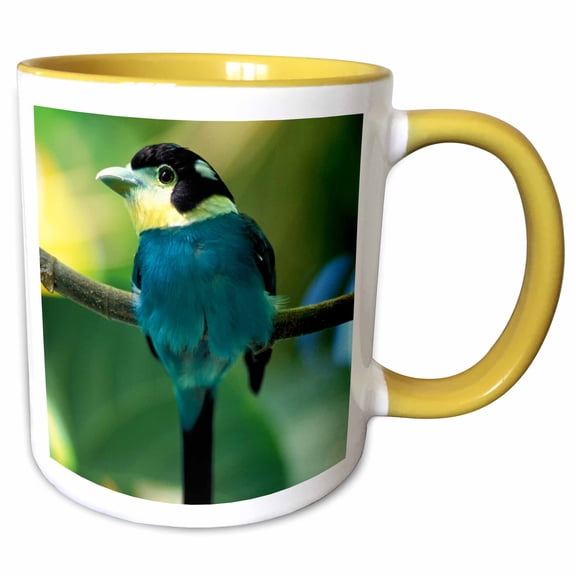 3drose, Long Tailed Broadbill Bird - Na02 Aje0095 - Adam Jones, 11oz Two-tone Yellow Mug
