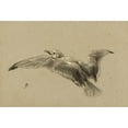 thumbnail image 3 of Félix Bracquemond 24x18 Black Modern Framed Museum Art Print Titled - Mouettes (19th Century), 3 of 5