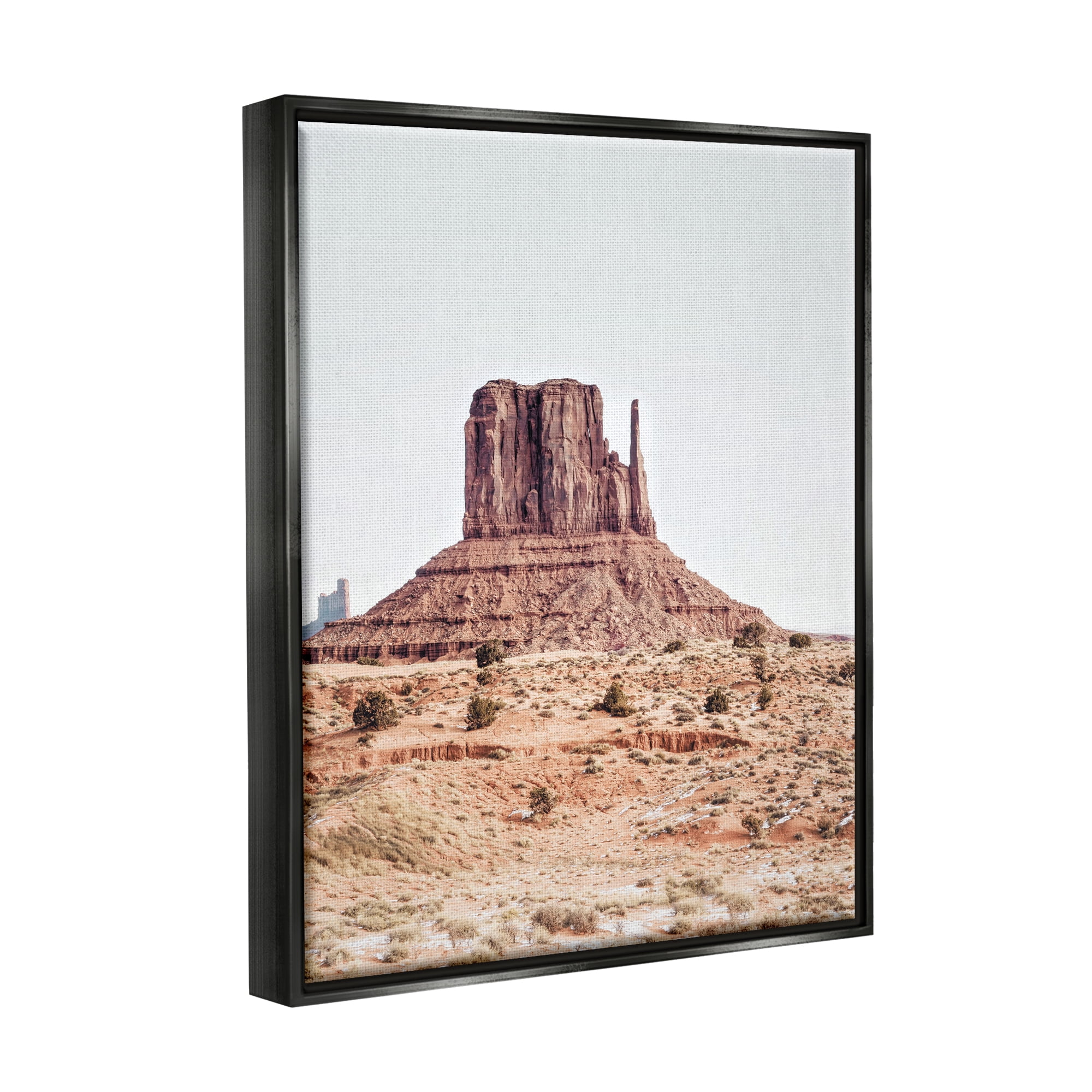 Stupell Industries Desert Mesa Photography Nature Photography Black Floater Framed Art Print Wall Art, 17 x 21