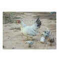 thumbnail image 1 of Hen and Chicks Cutting Board, Farm Themed Blurred Back Photo with Mother and Baby Animals Print, Decorative Tempered Glass Cutting and Serving Board, in 3 Sizes, by Ambesonne, 1 of 2