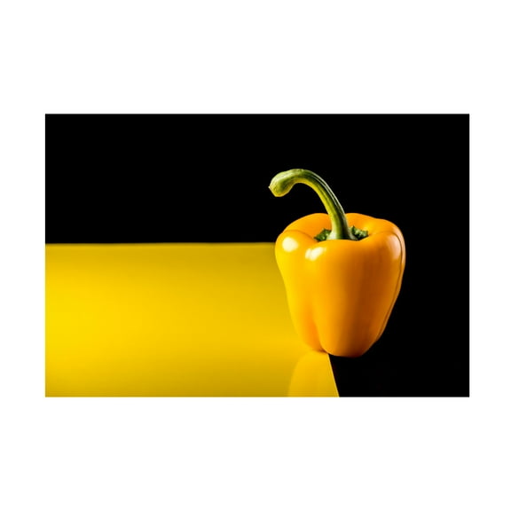 Marius Miclea 'Discovering Yellow' Canvas Art