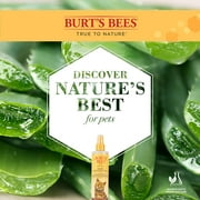 Burt's Bees Cat Natural Dander Reducing Spray with Soothing Colloidal Oat Flour & Aloe Vera 10 oz