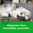 thumbnail image 2 of Feline Greenies Savoury Salmon Natural Dental Cat Treats, 2 of 14