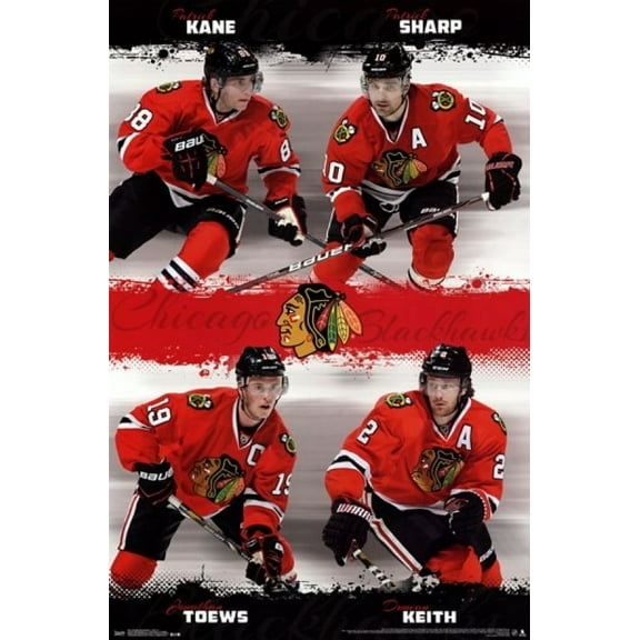Chicago Blackhawks - Team 2013 Laminated Poster Print (22 x 34)