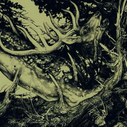 The Third Eye Foundation - Dark - Rock - CD