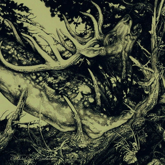 The Third Eye Foundation - Dark - Rock - CD