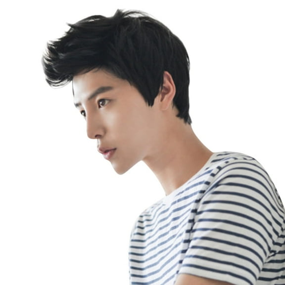 Fashion Short Wigs for Men Wig Man Male Brown Black Handsome Cool Wig