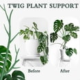 thumbnail image 2 of Monstera Plant Support,Plant Garden Support Stakes,Tall Plastic Plant Sticks for Tomato Tree,Branches Support 5PC, 2 of 5