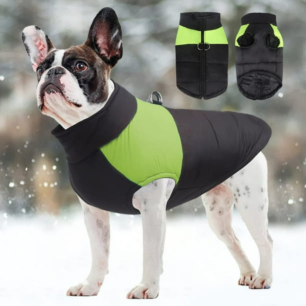 Impermeable chien moyen new arrivals