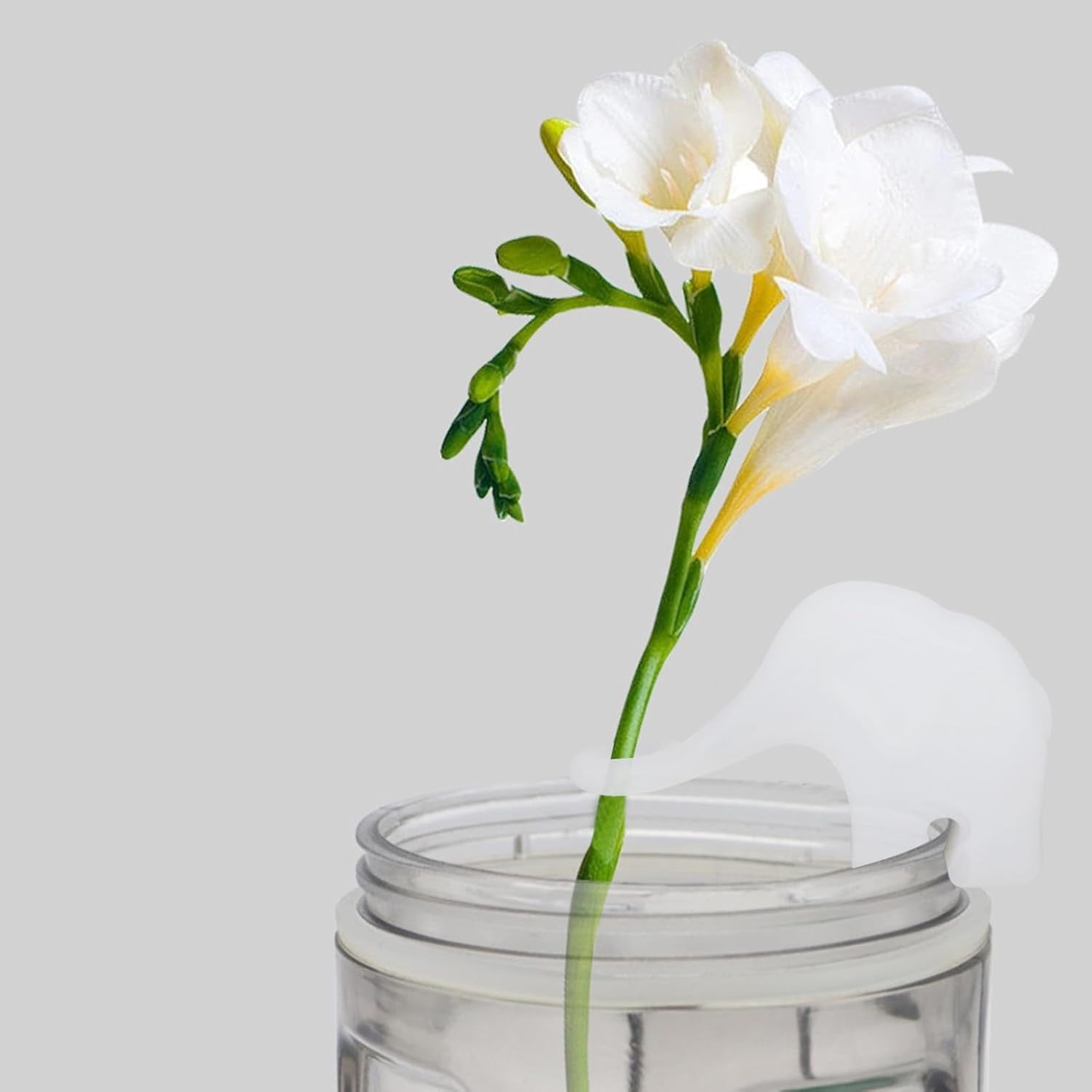 Stations De Propagation Plantes En Forme D'oiseau - Lot De 2, Pour Boutures Hydroponiques (monstera, Lierre…) - Décoration Intérieure