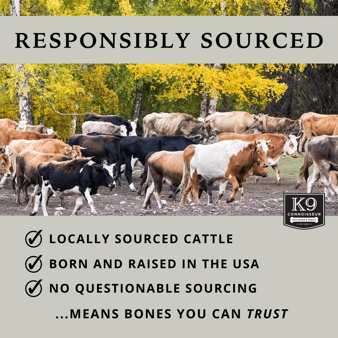 K9 Connoisseur Beef Lung Bites Dog Treats - Made in USA, One Ingredient Dog Treats & All Natural Dog Treats, Grain Free Dog Treats for All Breeds & Sizes - 2.5 Pounds
