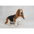 thumbnail image 3 of Hi Line Gift Ltd Dog Basset Hound Large Statue, 3 of 5