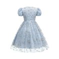 thumbnail image 5 of Girls Embroidered Tulle Dress Puff Sleeve Floral Ruffle Aline Dress Formal Birthday Party Dresses Blue, Size 7-8, 5 of 6