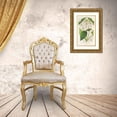 thumbnail image 3 of Charles Antoine Lemaire 18x24 Gold Ornate Framed and Double Matted Museum Art Print Titled - Heterotrichum Macrodon (1854-1896), 3 of 4